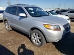 2009 Hyundai Santa FE SE