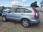 2010 Honda CR-V EXL