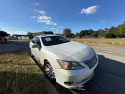 Salvage cars for sale at Grand Prairie, TX auction: 2010 Lexus ES 350