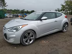 Salvage cars for sale at Baltimore, MD auction: 2012 Hyundai Veloster