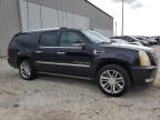 2009 Cadillac Escalade ESV Luxury