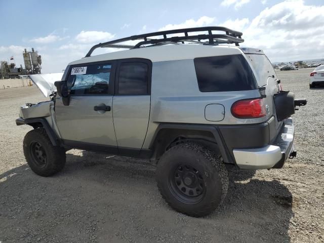 2010 Toyota FJ Cruiser