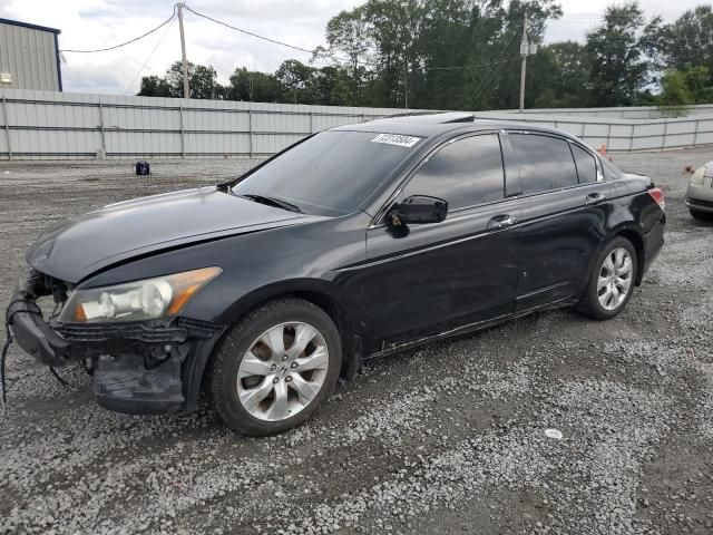 2010 Honda Accord EXL