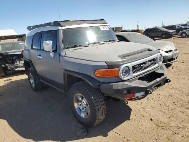 2007 Toyota FJ Cruiser