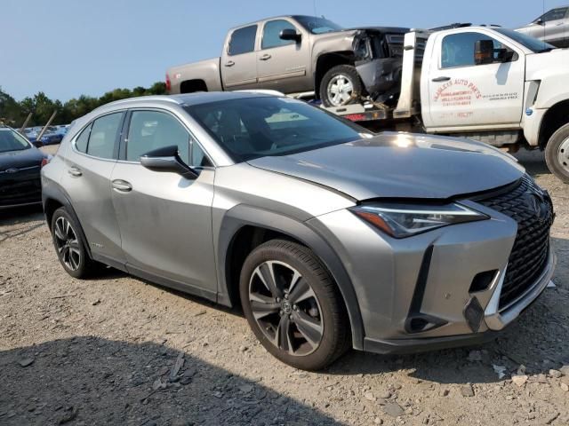 2020 Lexus UX 250H