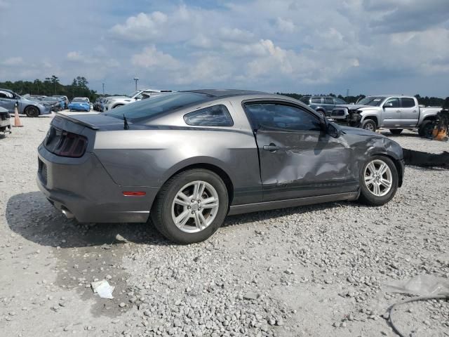 2013 Ford Mustang