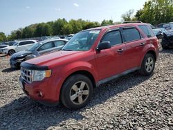 Salvage cars for sale at Pennsburg, PA auction: 2011 Ford Escape XLT