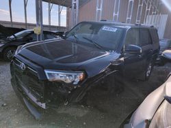 Toyota salvage cars for sale: 2024 Toyota 4runner SR5/SR5 Premium