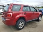 2011 Ford Escape XLS