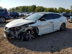 Nissan salvage cars for sale: 2017 Nissan Maxima 3.5S