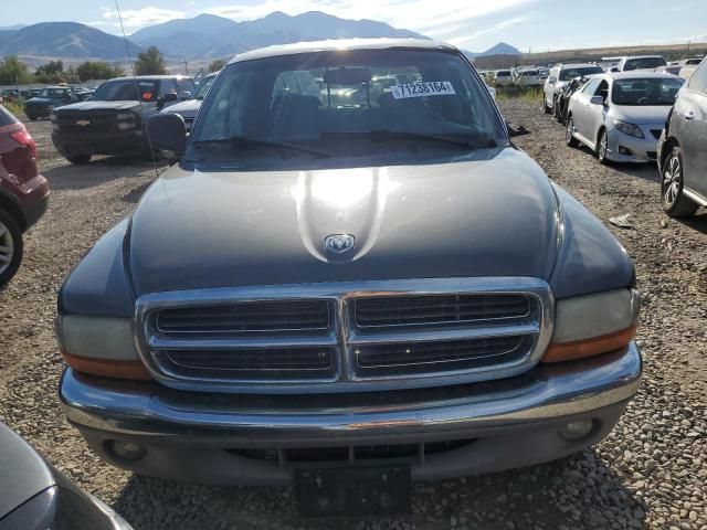 2004 Dodge Dakota Quad SLT