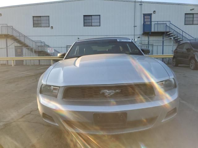 2010 Ford Mustang