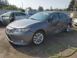 Lexus salvage cars for sale: 2014 Lexus ES 300H