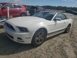 2013 Ford Mustang en venta en Spartanburg, SC