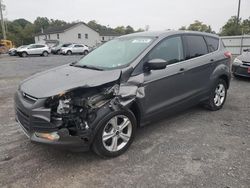 Salvage cars for sale at York Haven, PA auction: 2014 Ford Escape SE