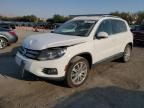 2013 Volkswagen Tiguan S