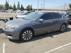 Honda salvage cars for sale: 2014 Honda Accord Hybrid EXL