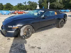 Ford salvage cars for sale: 2019 Ford Mustang