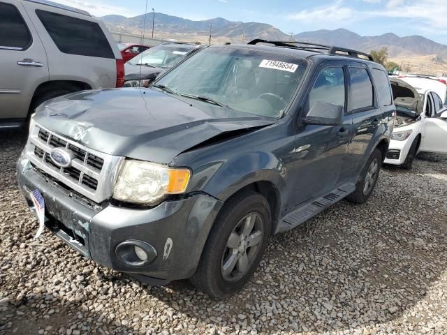 2009 Ford Escape XLT