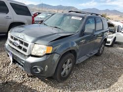 Salvage cars for sale at Magna, UT auction: 2009 Ford Escape XLT