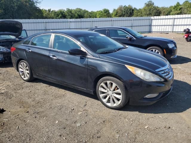 2011 Hyundai Sonata SE