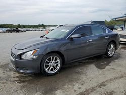 Nissan salvage cars for sale: 2012 Nissan Maxima S