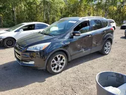 Salvage cars for sale at Cookstown, ON auction: 2015 Ford Escape Titanium