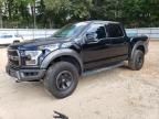 2018 Ford F150 Raptor