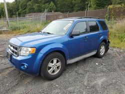 Ford salvage cars for sale: 2011 Ford Escape XLT