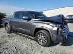 2024 Toyota Tundra Crewmax Platinum