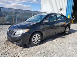 Salvage cars for sale from Copart Elmsdale, NS: 2010 Toyota Corolla Base