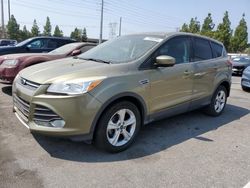 Ford salvage cars for sale: 2013 Ford Escape SE