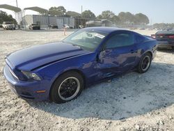 Salvage cars for sale at Loganville, GA auction: 2013 Ford Mustang