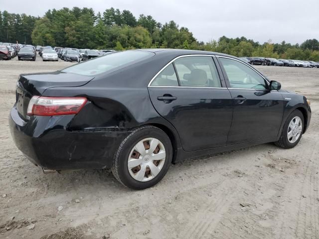 2009 Toyota Camry Hybrid