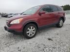 2007 Honda CR-V EXL