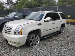 Salvage cars for sale at Waldorf, MD auction: 2007 Cadillac Escalade Luxury