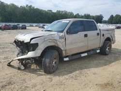 Vehiculos salvage en venta de Copart Conway, AR: 2009 Ford F150 Supercrew