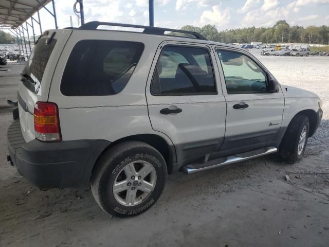 2007 Ford Escape HEV