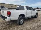 2019 Toyota Tacoma Double Cab