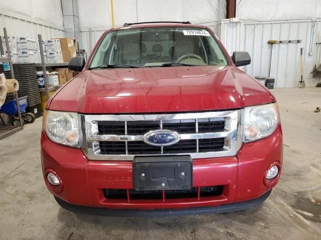 2009 Ford Escape XLT