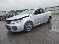 Salvage cars for sale at Pennsburg, PA auction: 2011 KIA Forte EX