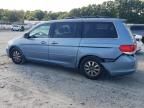 2009 Honda Odyssey EX