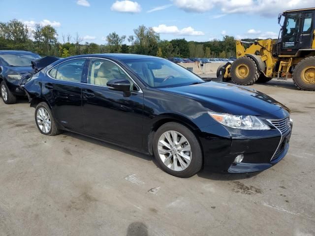 2013 Lexus ES 300H