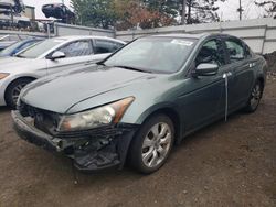 Salvage cars for sale at New Britain, CT auction: 2009 Honda Accord EXL