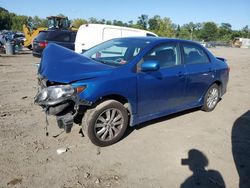 Toyota Corolla Base salvage cars for sale: 2010 Toyota Corolla Base