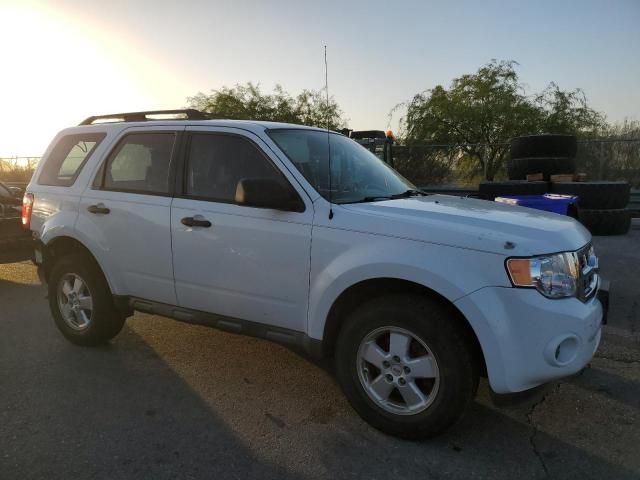 2011 Ford Escape XLS