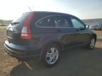 2010 Honda CR-V EXL