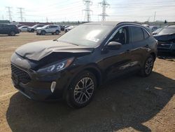 Salvage cars for sale from Copart Elgin, IL: 2020 Ford Escape SEL