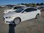 2014 Ford Fusion SE Phev