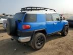 2007 Toyota FJ Cruiser